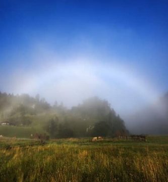 Arc de sant martí blanc o de boira